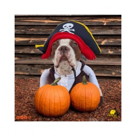 Disfraz de pirata para perro