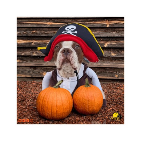 Disfraz de pirata para perro