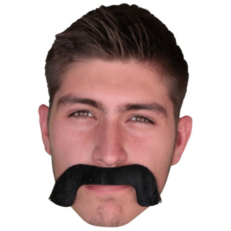 Bigote de borracho