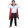Vampire's cape