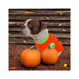 Disfraz de calabaza para...