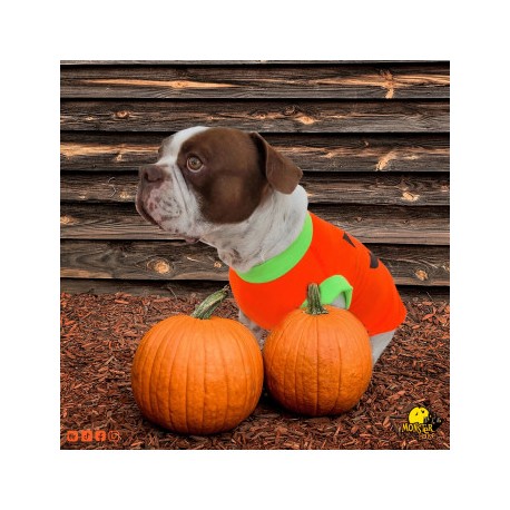 Disfraz de calabaza para...