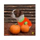 Disfraz de calabaza para...
