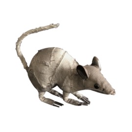 Mummy Rat