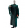 Voldemort Costume