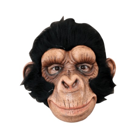 Chimp George