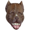 Pitbull