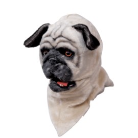 Pug moving mouth