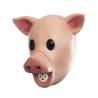Squeaky Pig