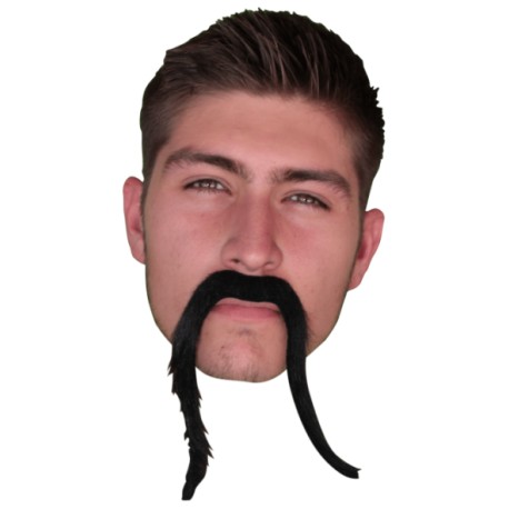 Bigote de chino