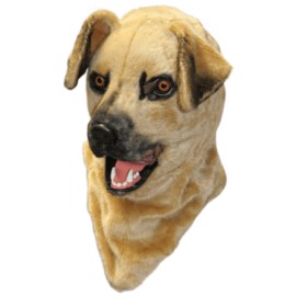 Dog moving mouth
