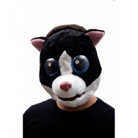 Lil' cat