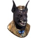 Anubis