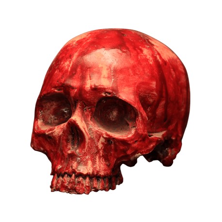 Bloody Resin Skull