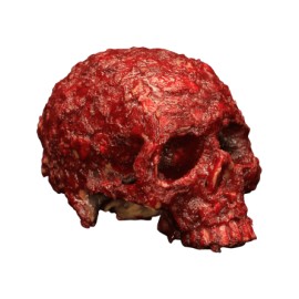 Blood Scab Resin Skull