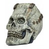 Franky Skull