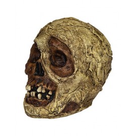 Mummy Skull