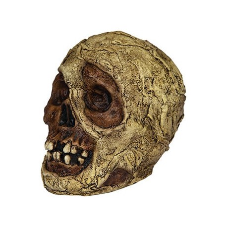 Mummy Skull