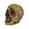 Mummy Skull