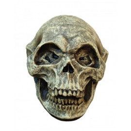 Alien Skull
