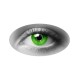 Pupilentes verdes