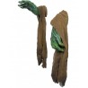 Witch hand emerging