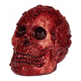 Fleshy Skull