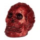 Fleshy Skull