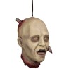 Decapitated stabbed