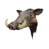 Wild boar helmet