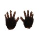 Wolf Hand Deluxe