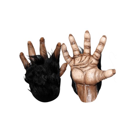 Chimp Brown Hands