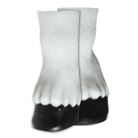 Horse Hooves White