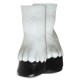 Horse Hooves White