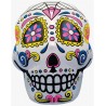 Inflable de Calaverita
