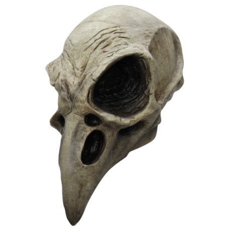 Crow Skull