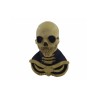 Long neck skull